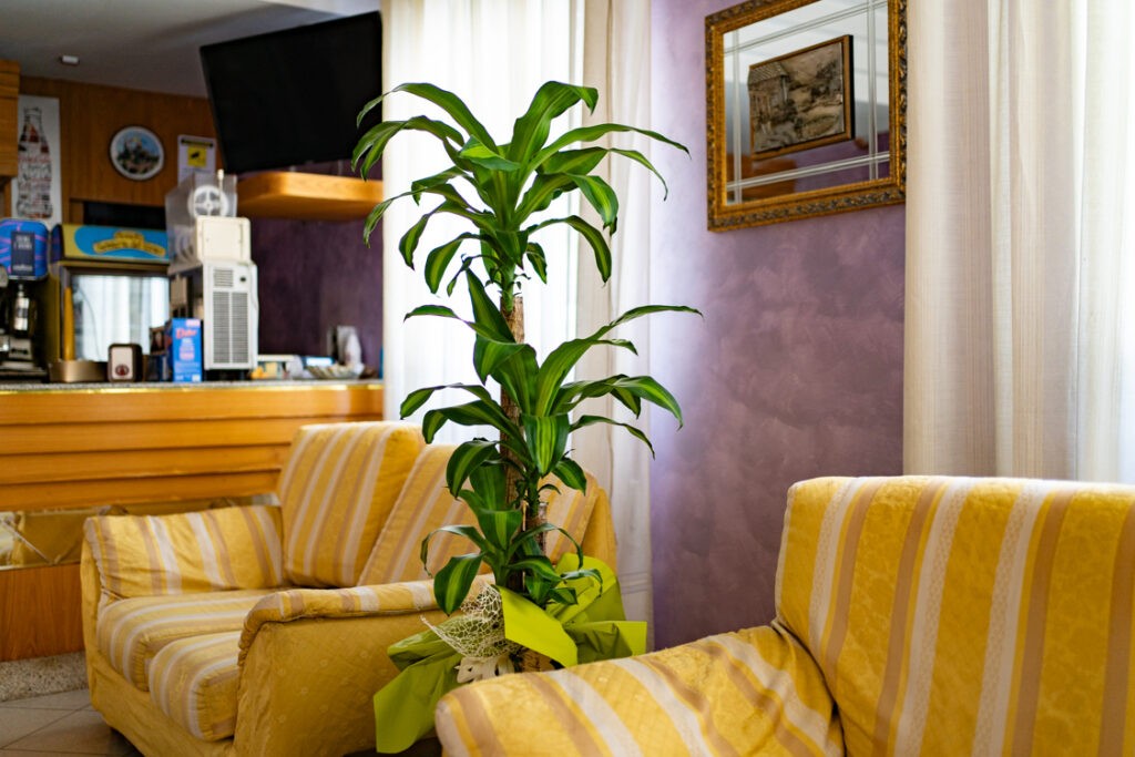 Hotel e Servizi